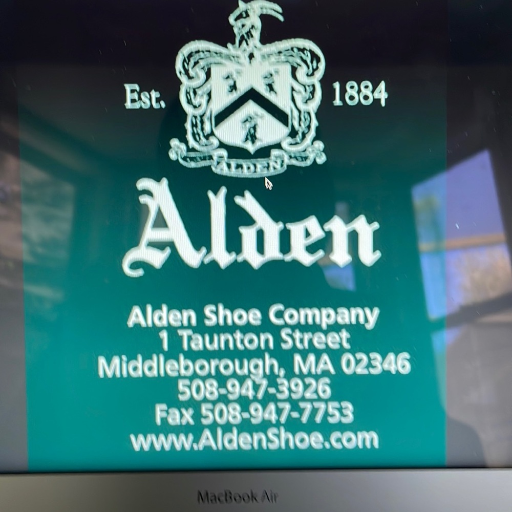 Alden Mens 403 Indy Boots (brown)